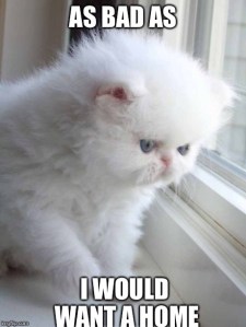 1939788_10152849371201079_2276983889031146061_n